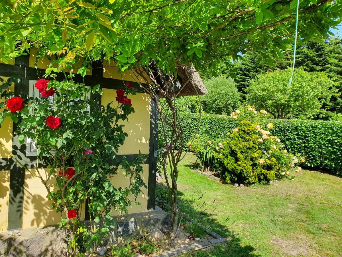 Zara'S B&B Horsens Esterno foto